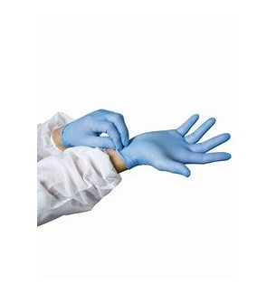 Gant nitrile T L NP